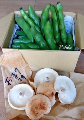 みんなの投稿の画像