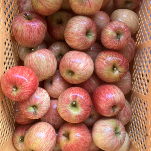 すぐ発送‼️5Kバラ詰葉取らず減農薬サンふじ訳あり　箱込5.5キロ