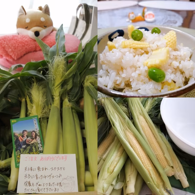 みんなの投稿の画像