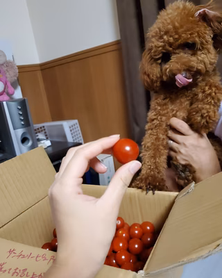 みんなの投稿の画像