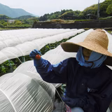 藤井かほる | Koko'o(ココオ)農園