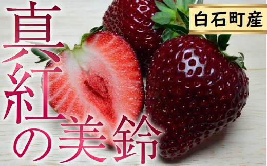 【なくなり次第終了！黒イチゴ】真紅の美鈴 1パック