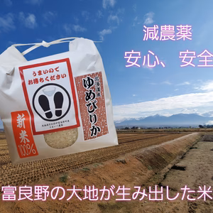 富良野令和3年新米 ゆめぴりか