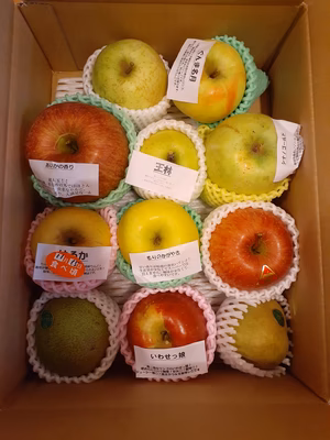 みんなの投稿の画像