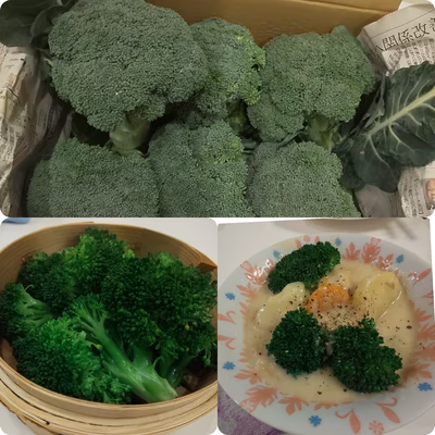 みんなの投稿の画像