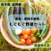 【子どもも喜ぶ安心野菜】農薬・肥料不使用 もぐもぐ野菜セット(80サイズ)