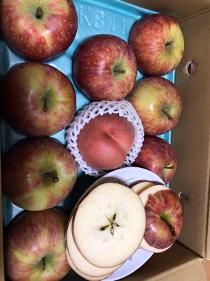 みんなの投稿の画像