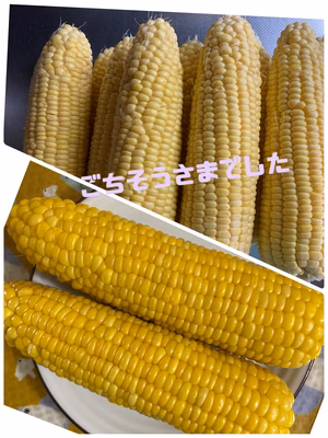 みんなの投稿の画像