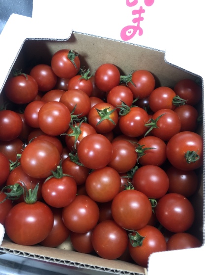 金賞受賞 ほとんどフルーツ 高糖度トマト あいとま 1キロ箱 農家漁師から産地直送の通販 ポケットマルシェ