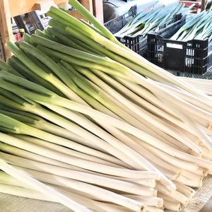 《北海道産》新鮮！長ネギL.2Lサイズ混合3kg