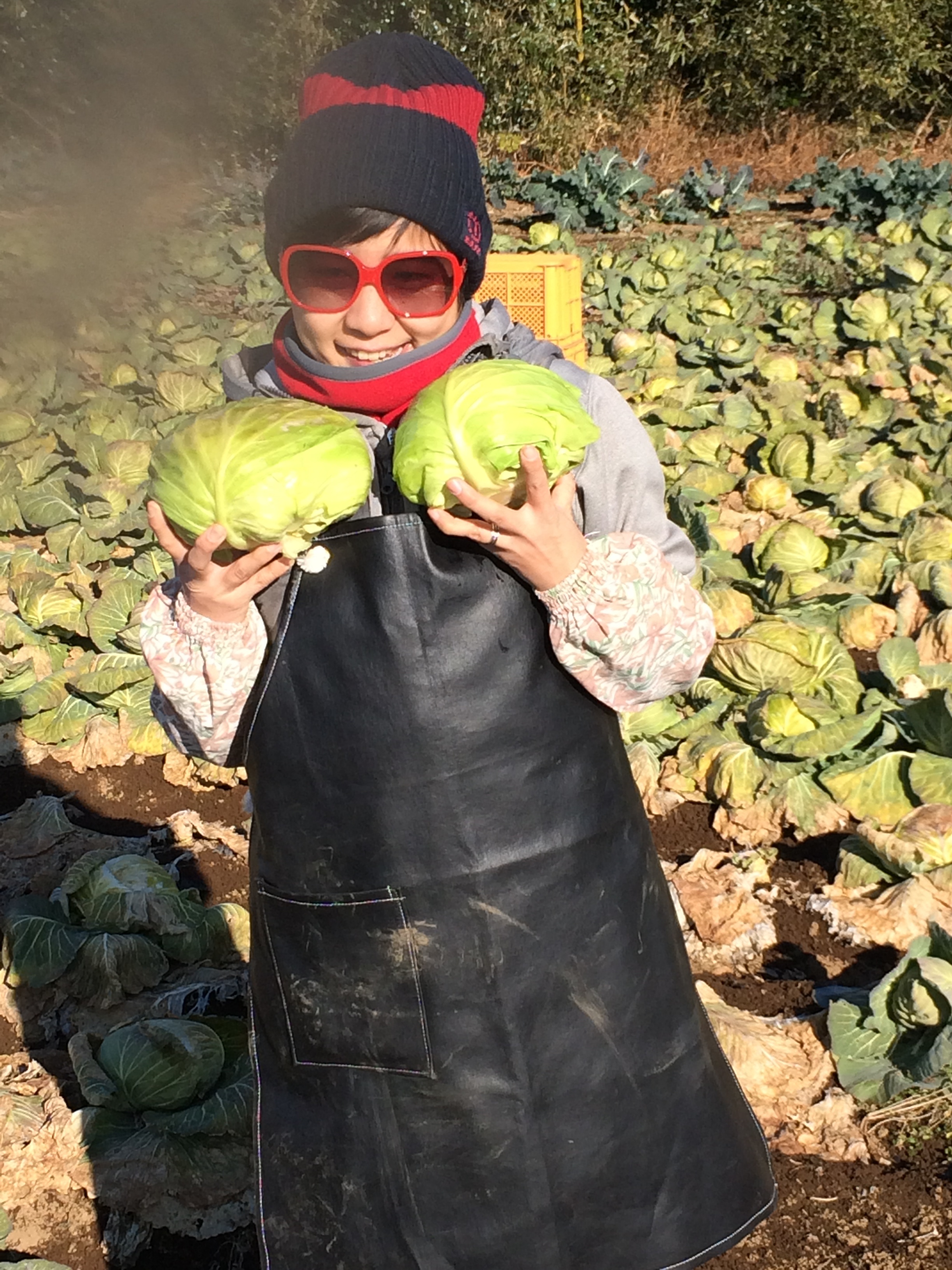 季節の百笑栽培オーガニック野菜セット(自然栽培・有機無農薬栽培