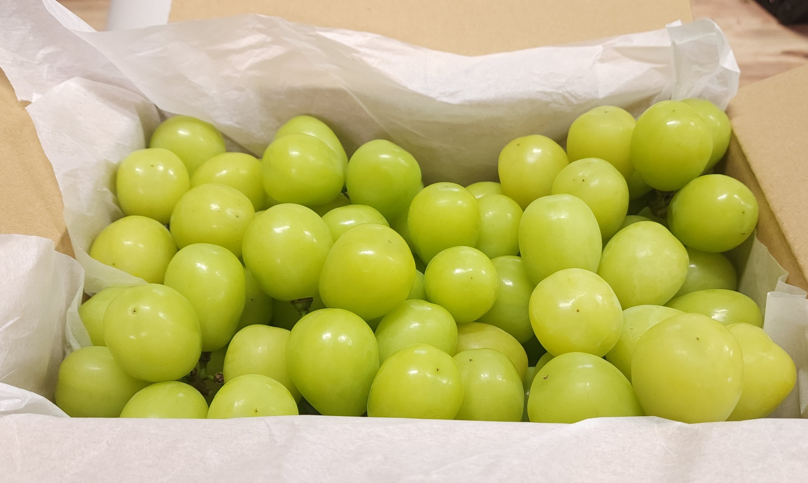FAINAL SHINE 長野県産 シャインマスカット【粒】 1.5kg｜果物の商品