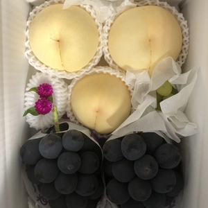 ヨシヒコの葡萄＆桃【種なしピオーネ3L(550g以上)×2房・桃2個】