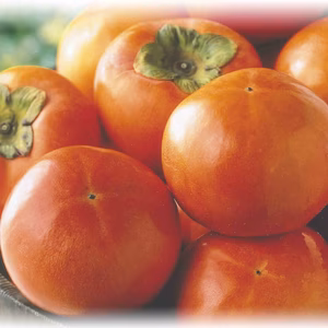 富有柿　減農薬・無化学肥料栽培　ご家庭用　約3kg