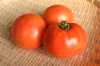 奇跡の大玉「アロイトマト」！＋「ブラックビューティー」【農薬/化成肥料等不使用】
