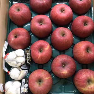 青森りんごにんにくセット「サンふじ」約4.5ｋｇ+にんにく70g×3ネット家庭用