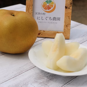 豊水梨 小箱【袋掛け栽培】天空の村よりお届け♪