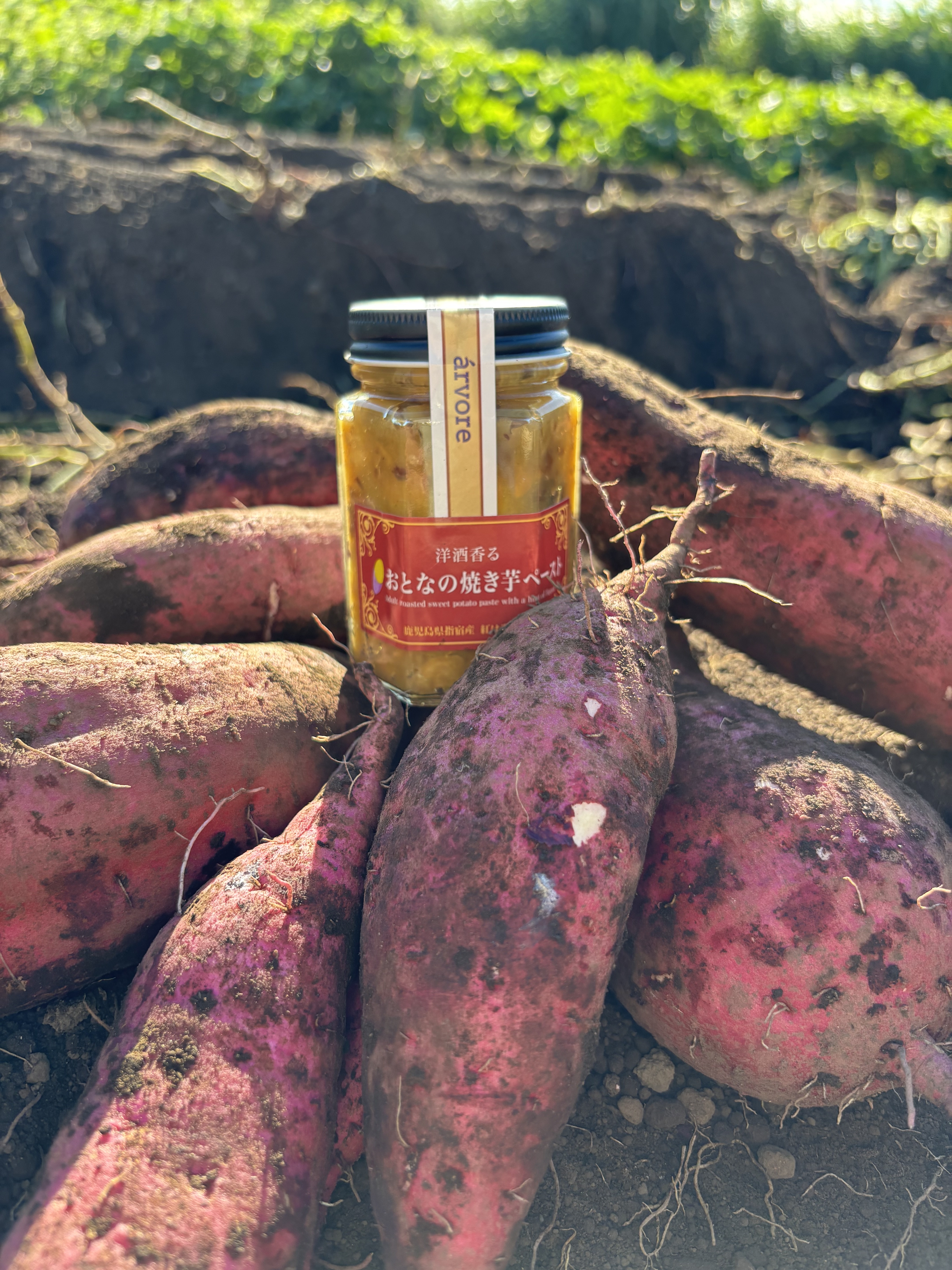 さつまいも 2kgの産直通販・お取り寄せ商品｜ポケットマルシェ｜産地