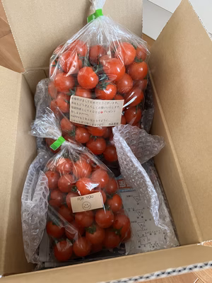 みんなの投稿の画像