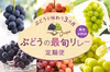 ぶどうを味わう3カ月『ぶどうの最旬リレー定期便』