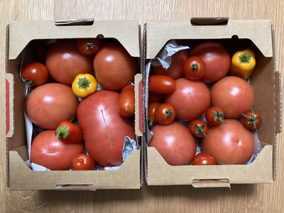 みんなの投稿の画像