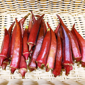 鮮やかで生でも！赤オクラ