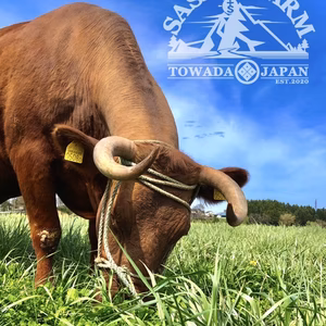 とわだ牧草短角牛バラスライス&ひき肉セット（各1キロ）