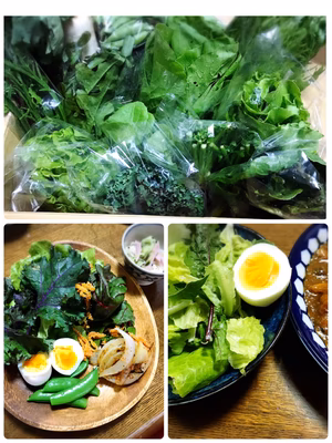 みんなの投稿の画像