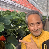 檀上寛司 | 奈良いちご園