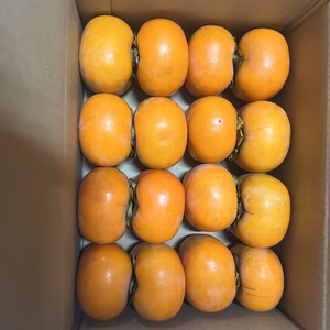 【送料無料】旬の美味しさ❗️訳ありたねなし柿Sサイズ　小箱　16個入り