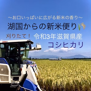 ラルゴ様専用！新米コシヒカリ採れました(๑>◡<๑)