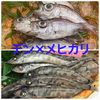 焼いたら美味しコンビ！デン！×メヒカリ