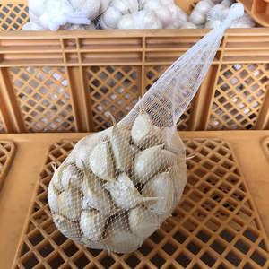 【皮むけなし】令和5年度青森県産ホワイト六片種にんにく バラ 500g【高糖度】