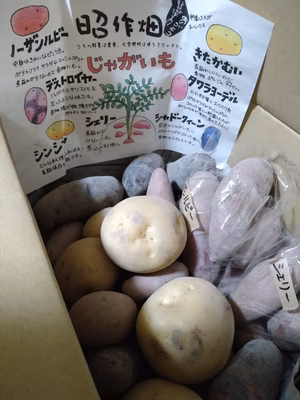 みんなの投稿の画像