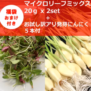 【7周年福袋】～週末発送限定～マイクロリーフ40g+訳アリ発芽にんにく5本