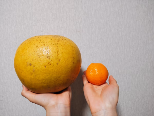 鹿児島県産「わっぜふっとか晩白柚」