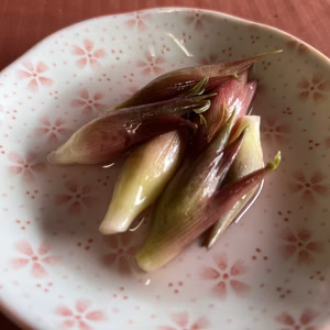 みょうが　甘酢漬け　300g