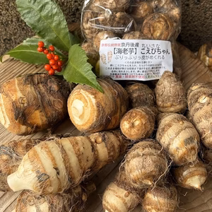  京都伝統野菜  小さい海老芋＆こえびちゃん＆ちいさなちいさなこえびちゃんセット