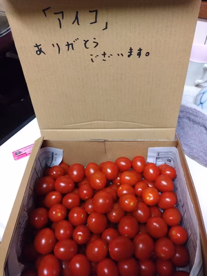 みんなの投稿の画像