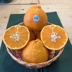 鹿児島県産「デコ不知火」箱込み5kg