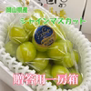 【夏ギフト】【御中元】7/15~8/12  岡山県産シャインマスカット【化粧箱】