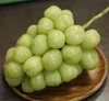 旬のぶどう 食べ比べセット（マイハート、クイーンニーナ、コトピー、雄宝）
