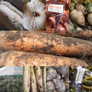 無農薬無化学肥料 信州伊那谷★厳冬期野菜セット 2/9発送