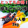【終了間近】超絶お得！株ごと芽キャベツとカラフル人参セット