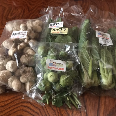 みんなの投稿の画像