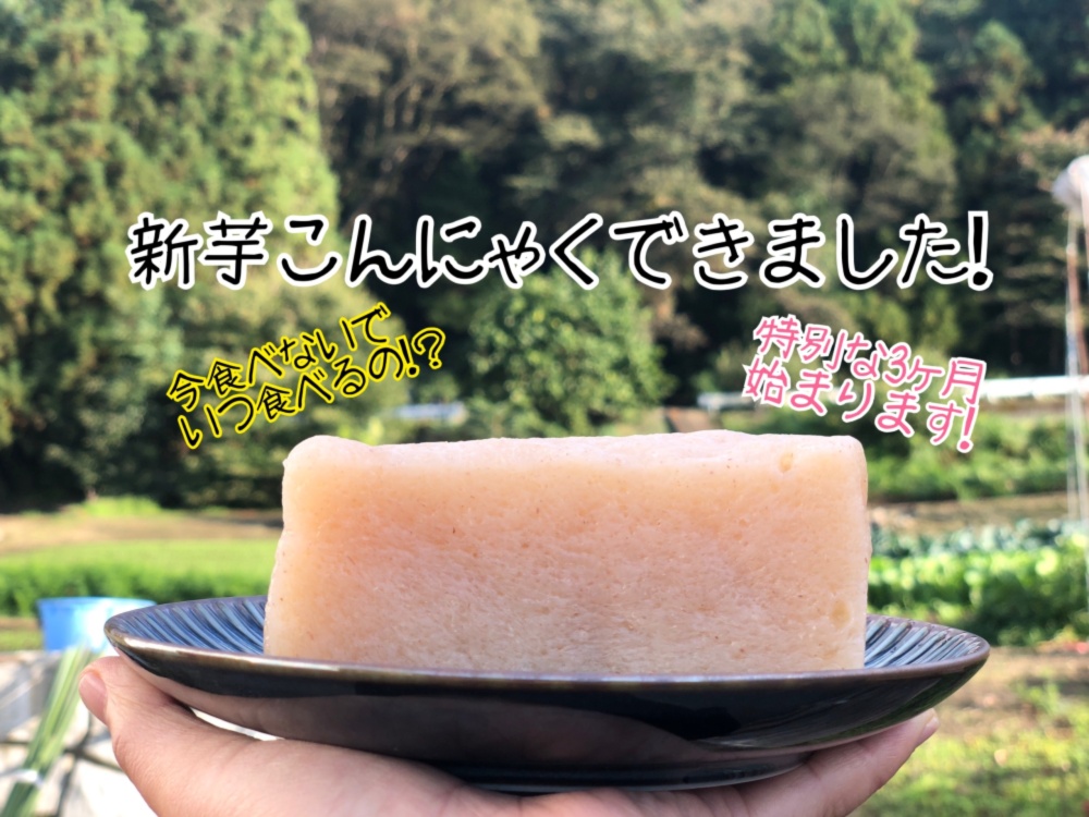 今話題の こんにゃくフリット 作るならコレ コレ 香る生芋こんにゃく 農家漁師から産地直送の通販 ポケットマルシェ