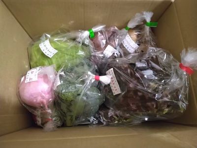 みんなの投稿の画像