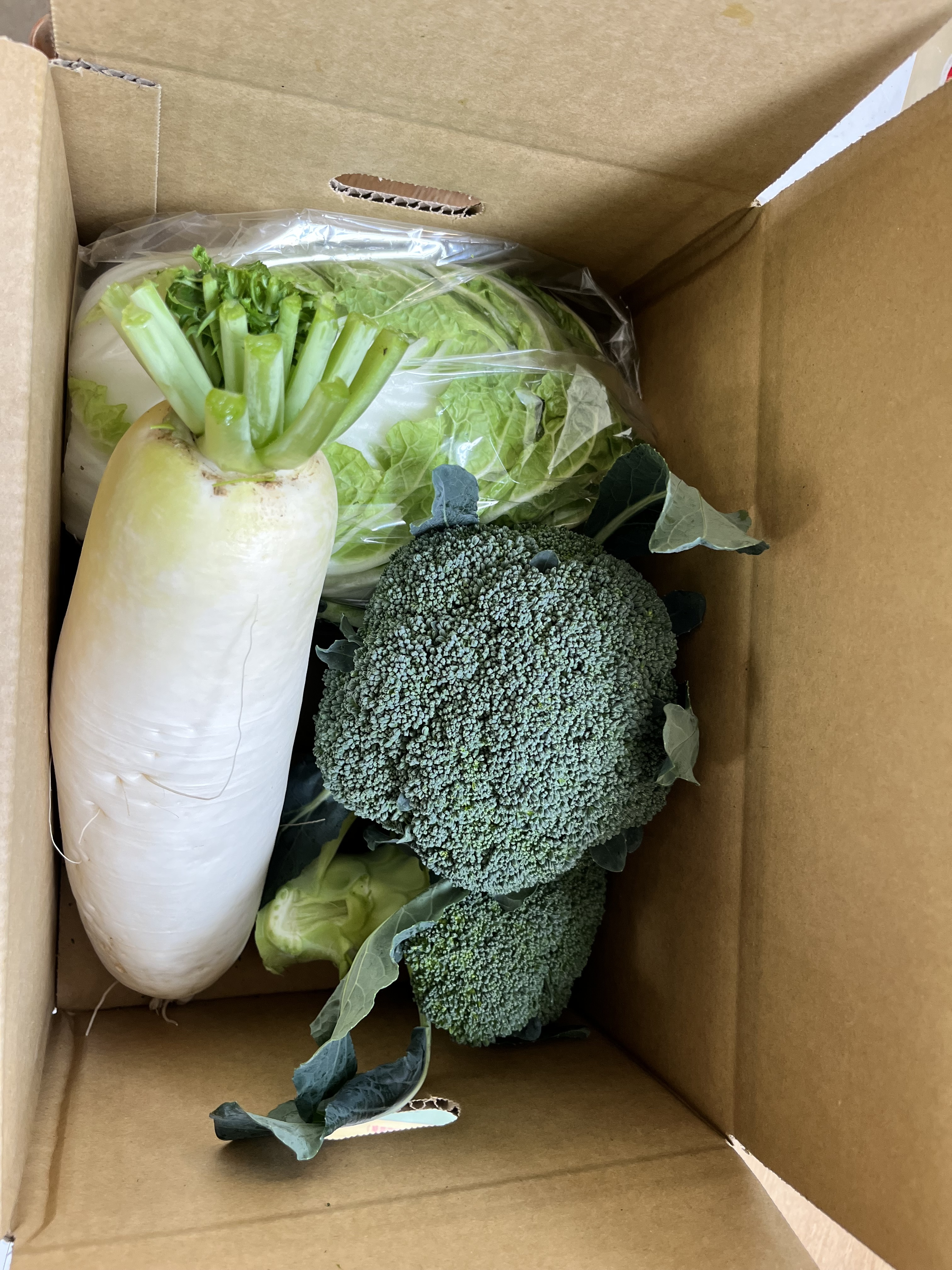 お野菜セット 80サイズお野菜