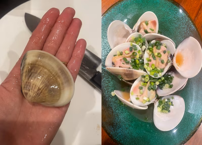 みんなの投稿の画像