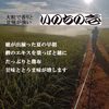大粒で香りと甘味がつよい　いのちの壱(白米)　新潟県認証特別栽培米